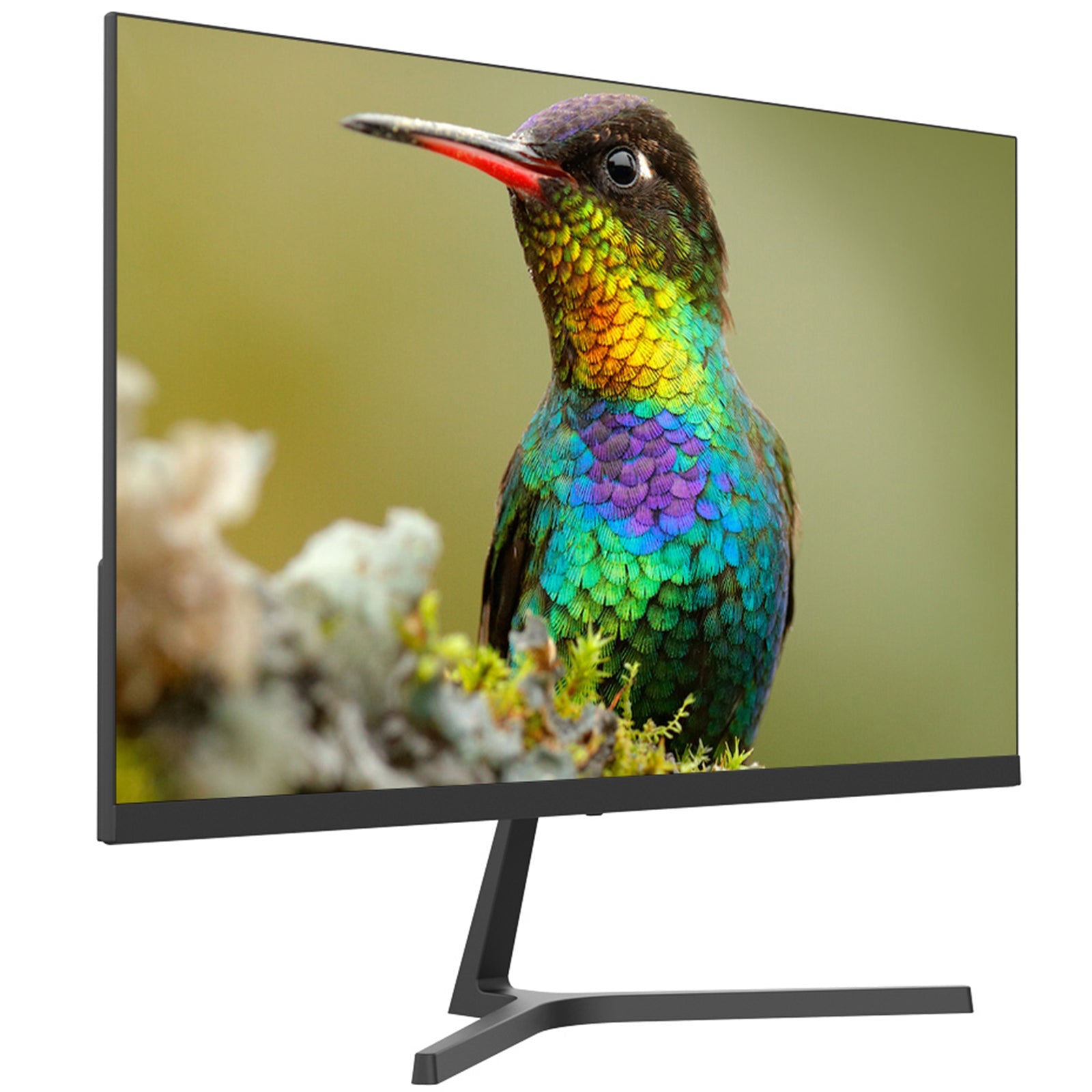 Ironware IRON24 Monitor 23.8" (24") Full HD 75Hz Speaker Borderless - Disponibile in 2-4 giorni lavorativi GameSIDE&Tech