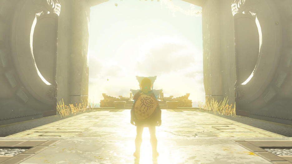 Switch The Legend of Zelda: Tears of the Kingdom - Usato garantito Disponibilità immediata Nintendo