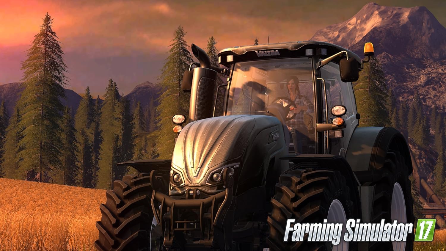 PS4 Farming Simulator 17 - Usato Garantito Disponibilità immediata