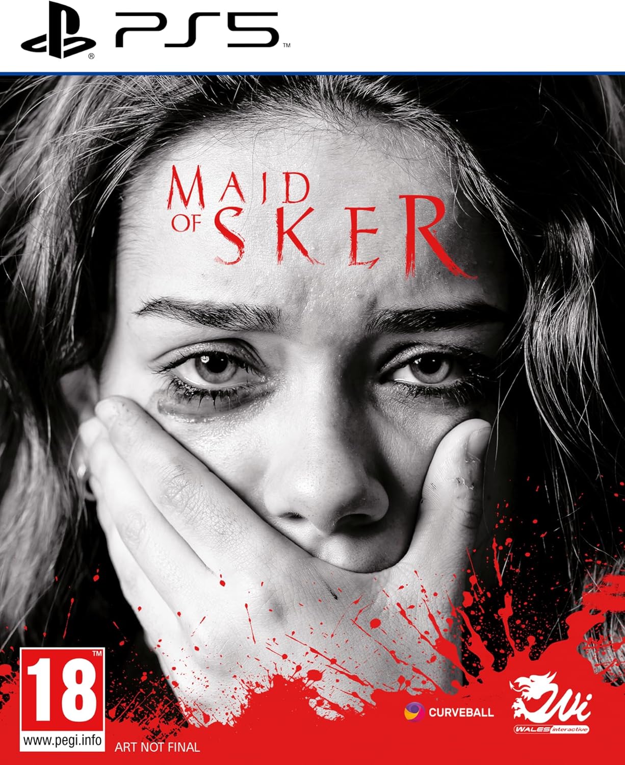 PS5 Sker Ritual Usato garantito - Disponibilità immediata Wales Interactive