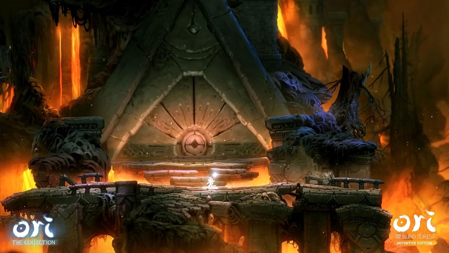 Switch Ori The Collection Disponibilità immediata Nintendo