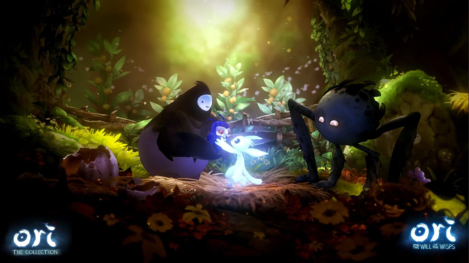 Switch Ori The Collection Disponibilità immediata Nintendo
