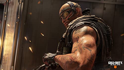 PS4 Call of Duty: Black Ops 4 (IIII)