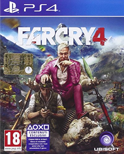 PS4 Far Cry 4 - Usato garantito