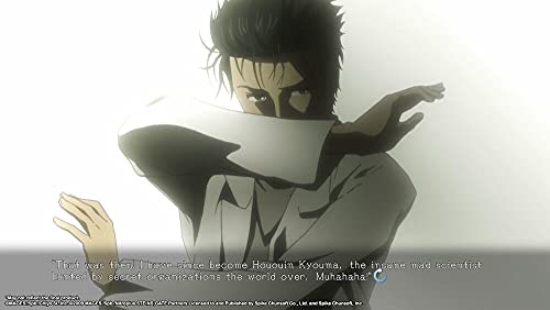 PS4 Steins Gate Elite EU