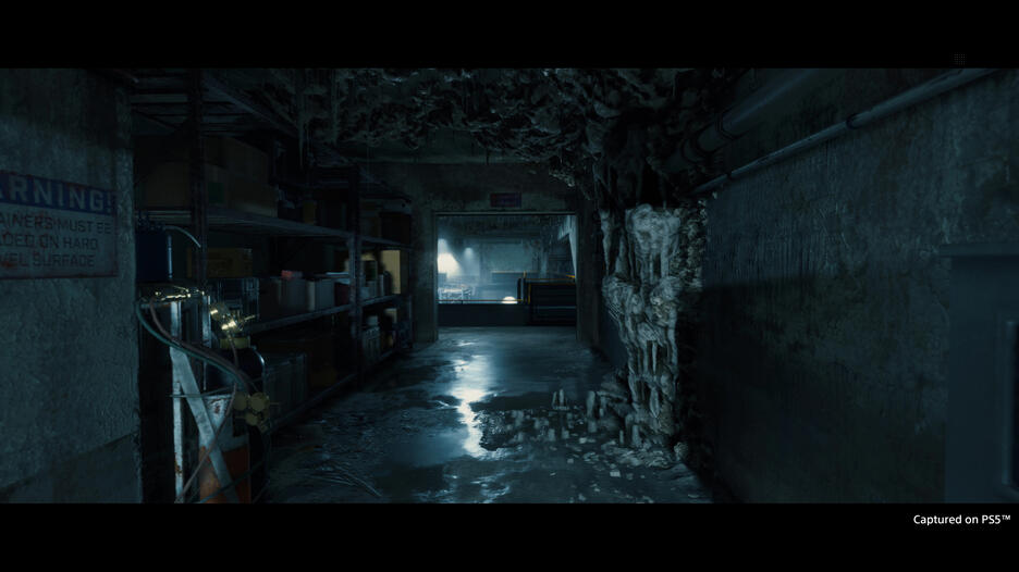 PS5 Death Stranding: Director's Cut