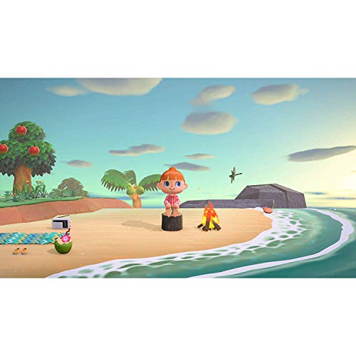 Switch Animal Crossing: New Horizons