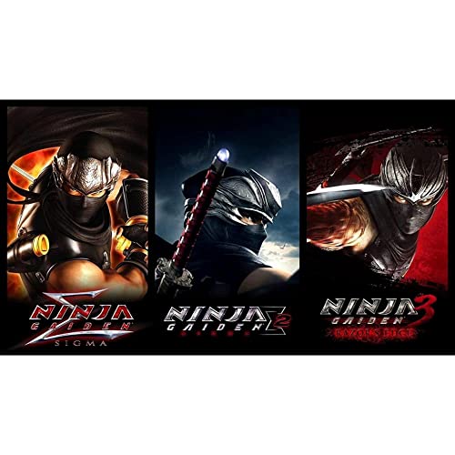 Switch Ninja Gaiden Master Collection 3 In 1 EU