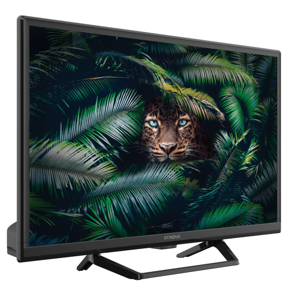 Strong SRT 24HE4023C 61 cm (24") HD Nero 180 cd/m - Disponibile in 6-7 giorni lavorativi