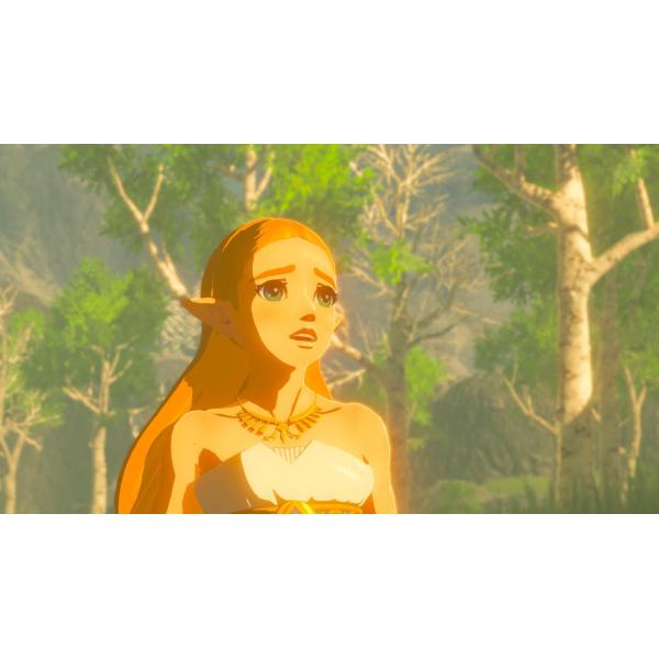 Switch Amiibo Link a Cavallo Accessori - Disponibile in 2/3 giorni lavorativi