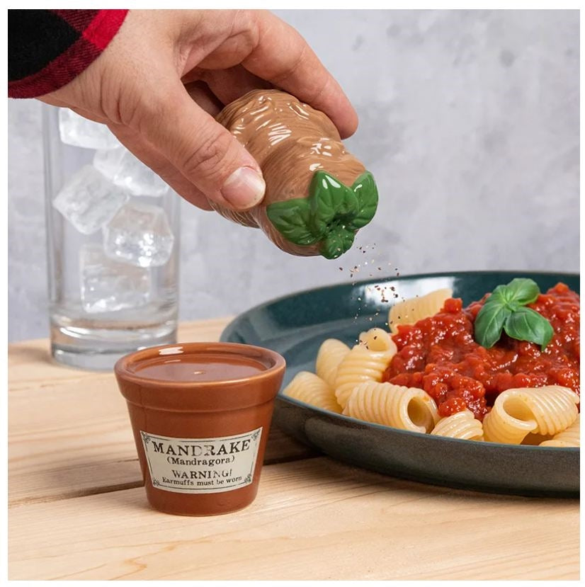 PALADONE HARRY POTTER Mandrake and Plant Pot Salt and Pepper Shakers Paladone