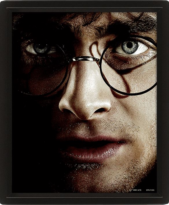 HARRY POTTER (HARRY VS VOLDEMORT) - POSTER 3D LENTICULAR INCORNICIATO - Disponibile in 2/3 giorni lavorativi