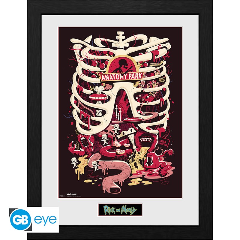 RICK AND MORTY - Poster incorniciato: "Anatomy Park" (30x40) - Disponibile in 2/3 giorni lavorativi Abystyle