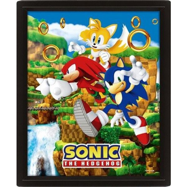 PYRAMID SONIC THE HEDGEHOG (CATCHING RINGS) FRAMED 3D - Disponibile in 2/3 giorni lavorativi