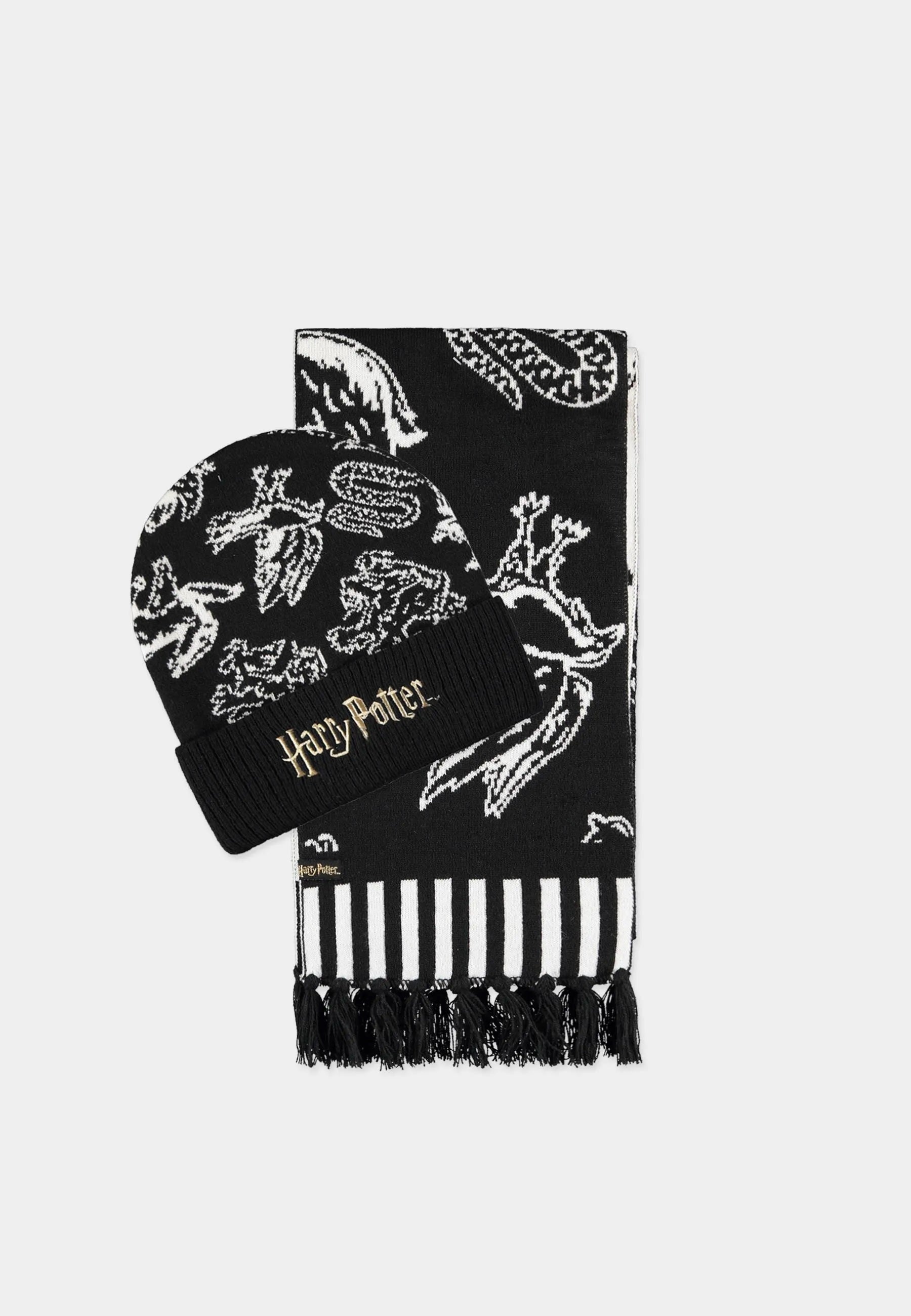 DIFUZED HARRY POTTER - SET REGALO (BERRETTO E SCIARPA): HOGWARTS HOUSES - Disponibile in 2/3 giorni lavorativi
