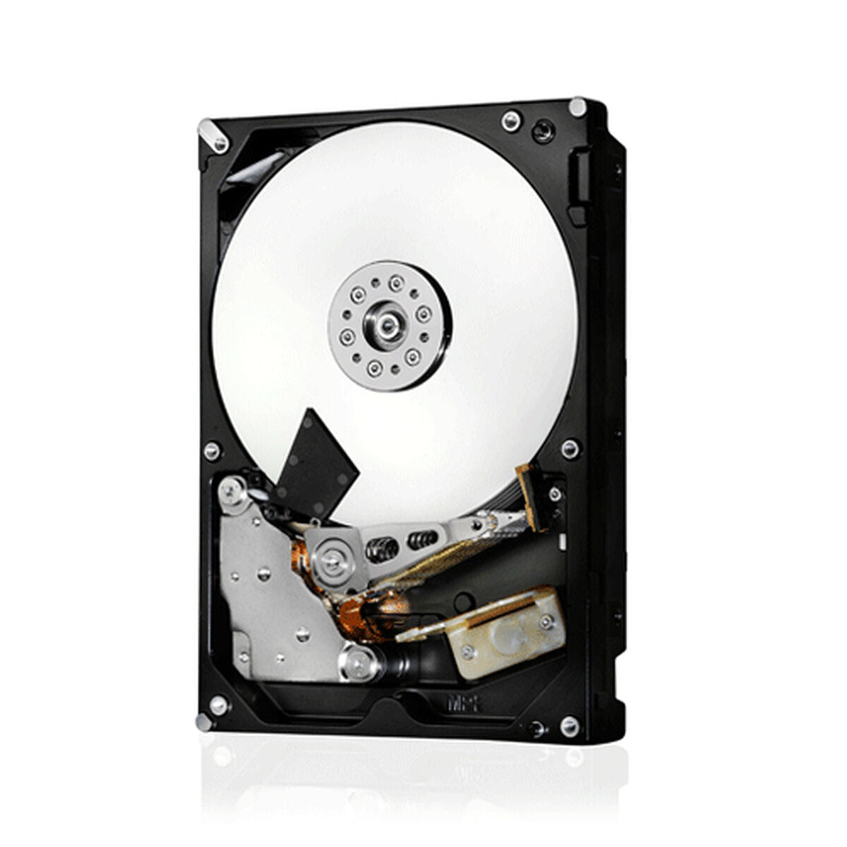 Hard Disk Western Digital ULTRASTAR 0F48052 3,5" 2,5" 22 TB - Disponibile in 3-4 giorni lavorativi