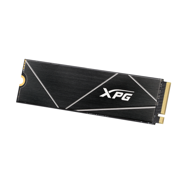 ADATA XPG Gammix S70 Blade SSD 1TB M.2 NVMe 7400/5500 MB/s - Disponibile in 3-4 giorni lavorativi