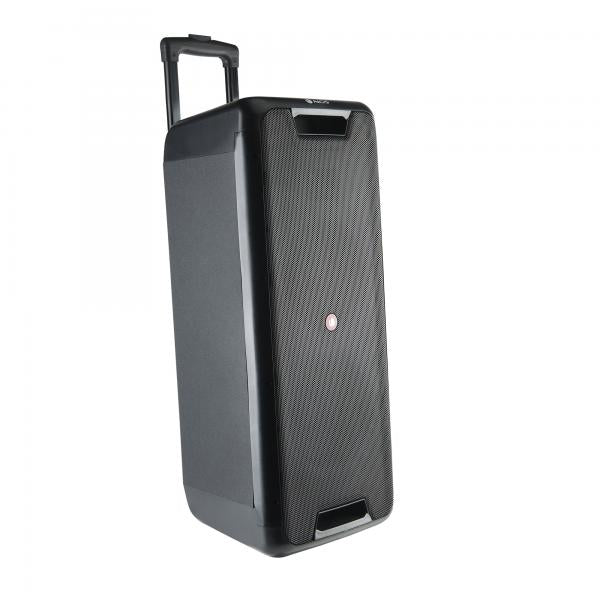 NGS Speaker Wild Rave2 Portatile BT TWS +Mic Ricaricabile 300W - Disponibile in 2-3 giorni lavorativi