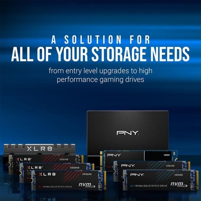 PNY - CS1030 - SSD - 500 GB - M.2 2280 - M280CS1030-500-RB - Disponibile in 3-4 giorni lavorativi