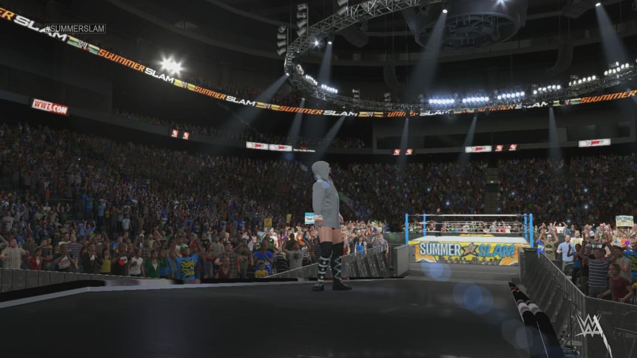PS3 WWE 2K15 - Usato garantito Disponibilità immediata Take Two Interactive