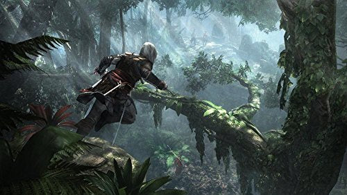 PS4 Assassin's Creed IV Black Flag