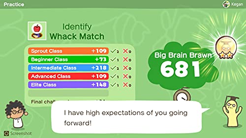 Switch Big Brain Academy: Sfida Tra Menti