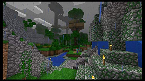 Switch Minecraft