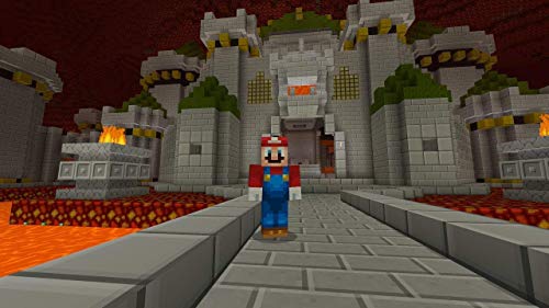 Switch Minecraft